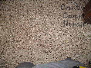 49 Carpet repair dog pet damage patch in bedroom Austin Ro…