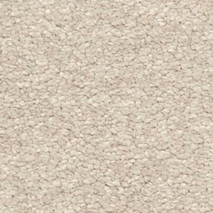 <center>Plush Carpet</center>